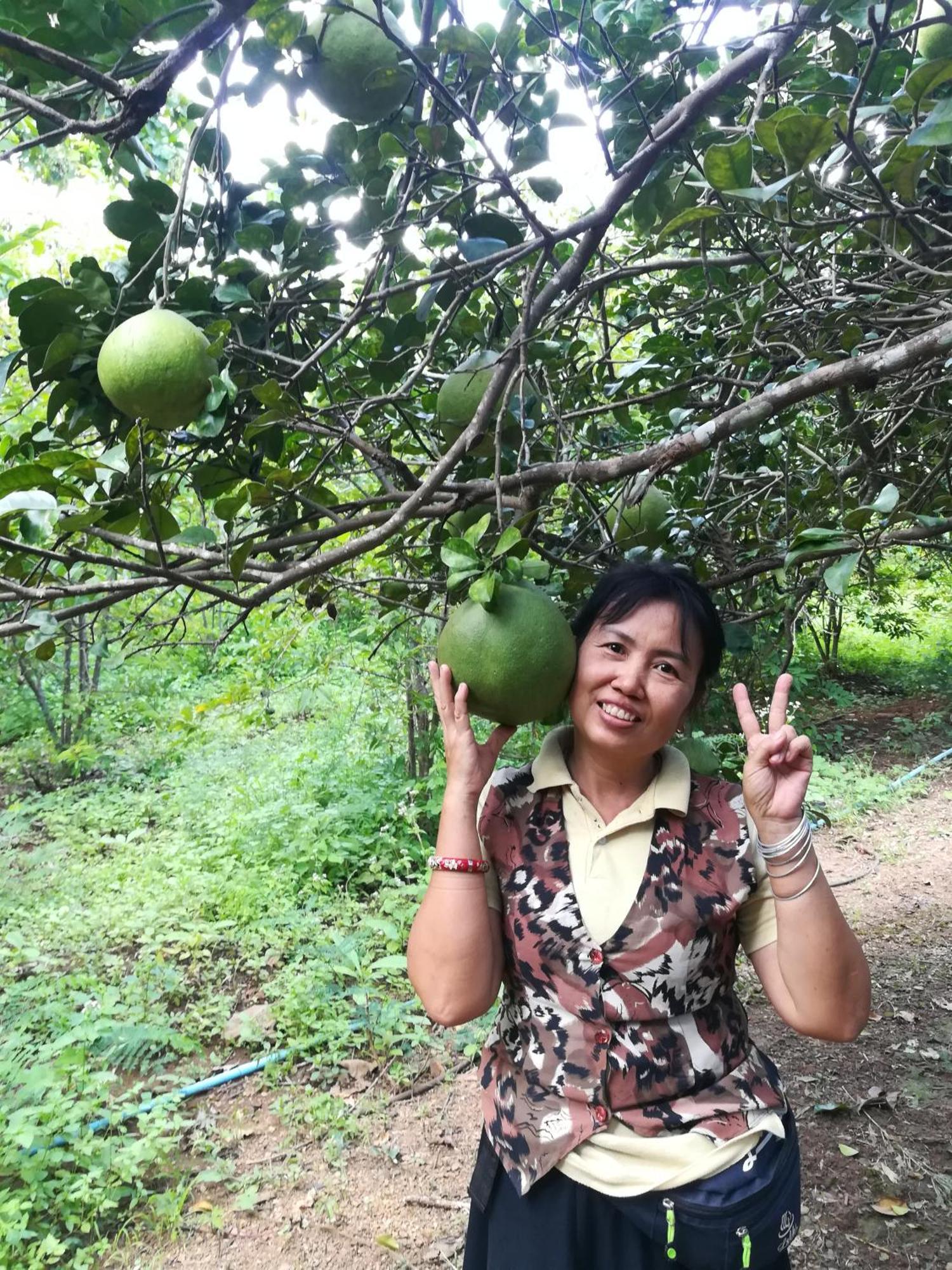 Star View Garden Villa Ban Huai Maenam Noi Eksteriør billede